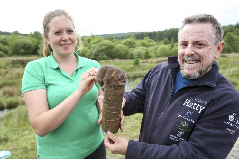 NWT is currently involved in a project to restore water vole populations into the Kielder catchment of the north Tyne.